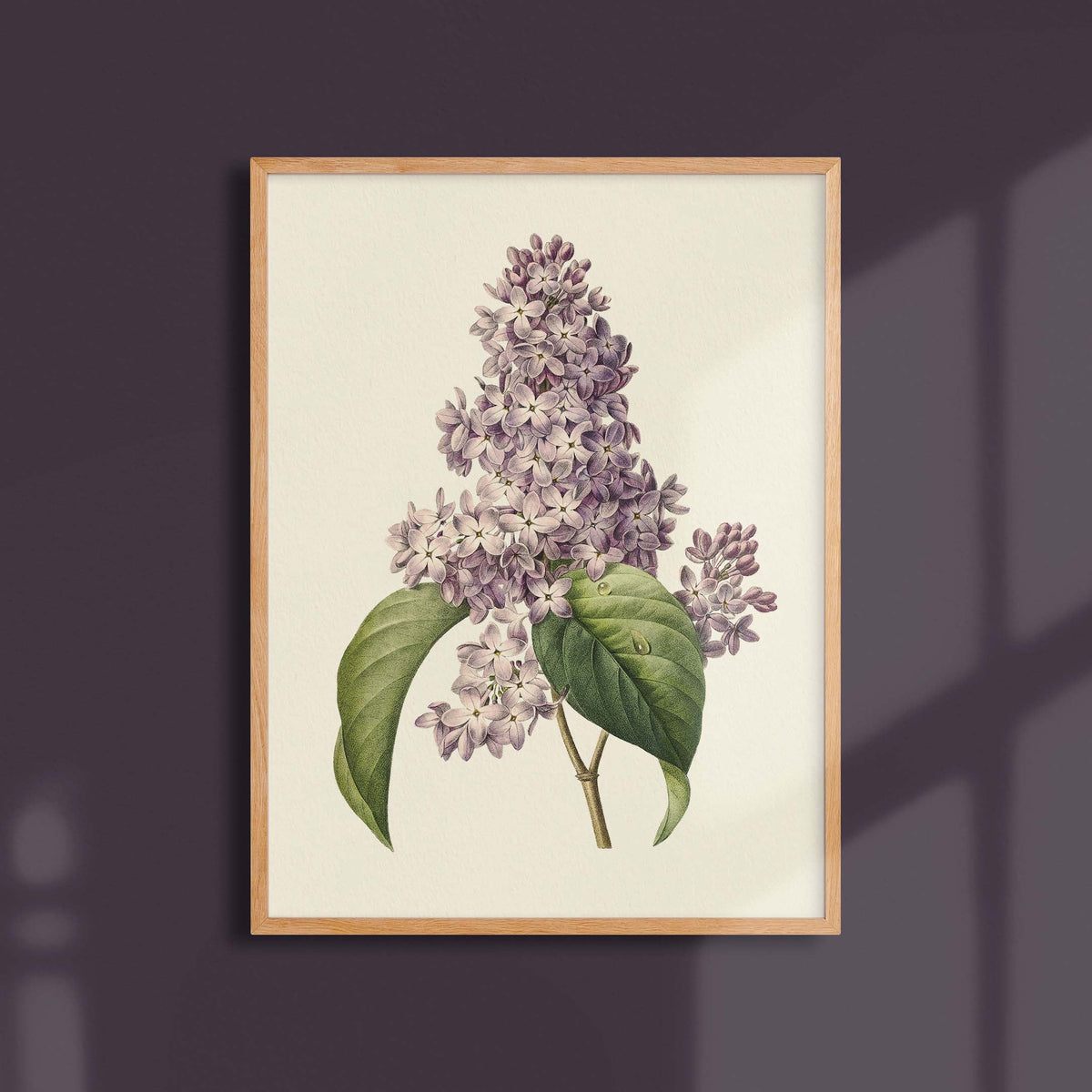 Affiche Fleurs Lilas