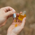 French Botanical Oil of Immortelle