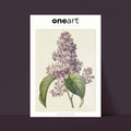 Affiche Fleurs Lilas