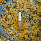 French Botanical Oil of Immortelle