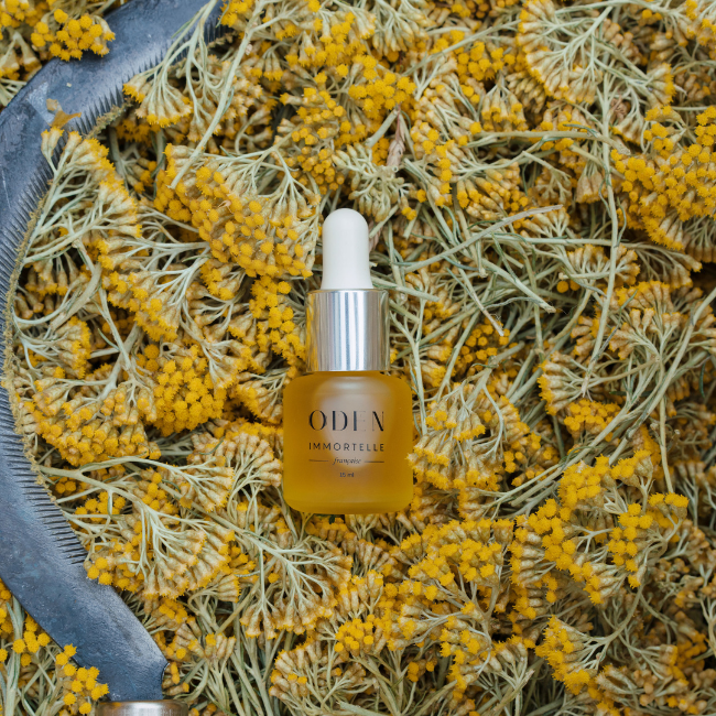 French Botanical Oil of Immortelle