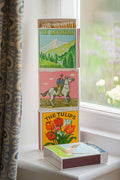 Boîte d'Allumettes The Mountain