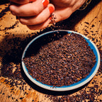 Chicorée Nature