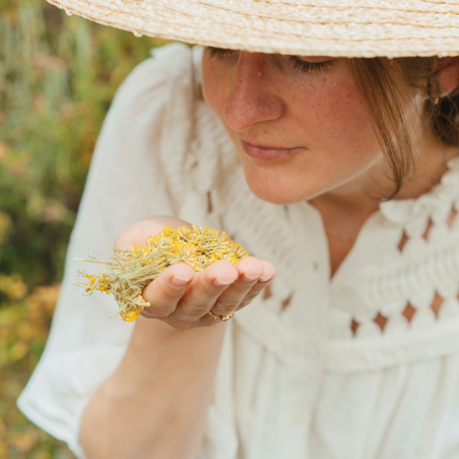 French Botanical Oil of Immortelle