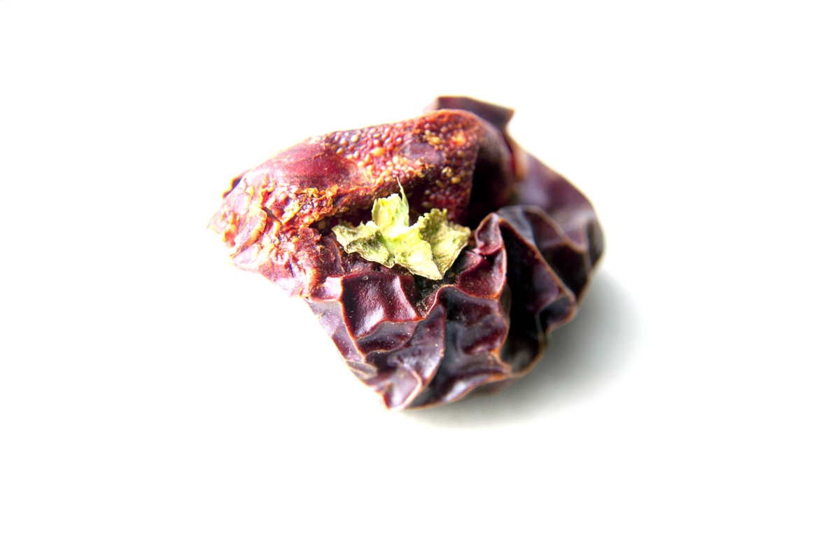 Piment Nora