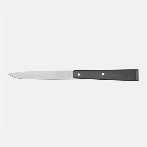 Boîte de 4 Couteaux de Table N°125 Pro Polymère