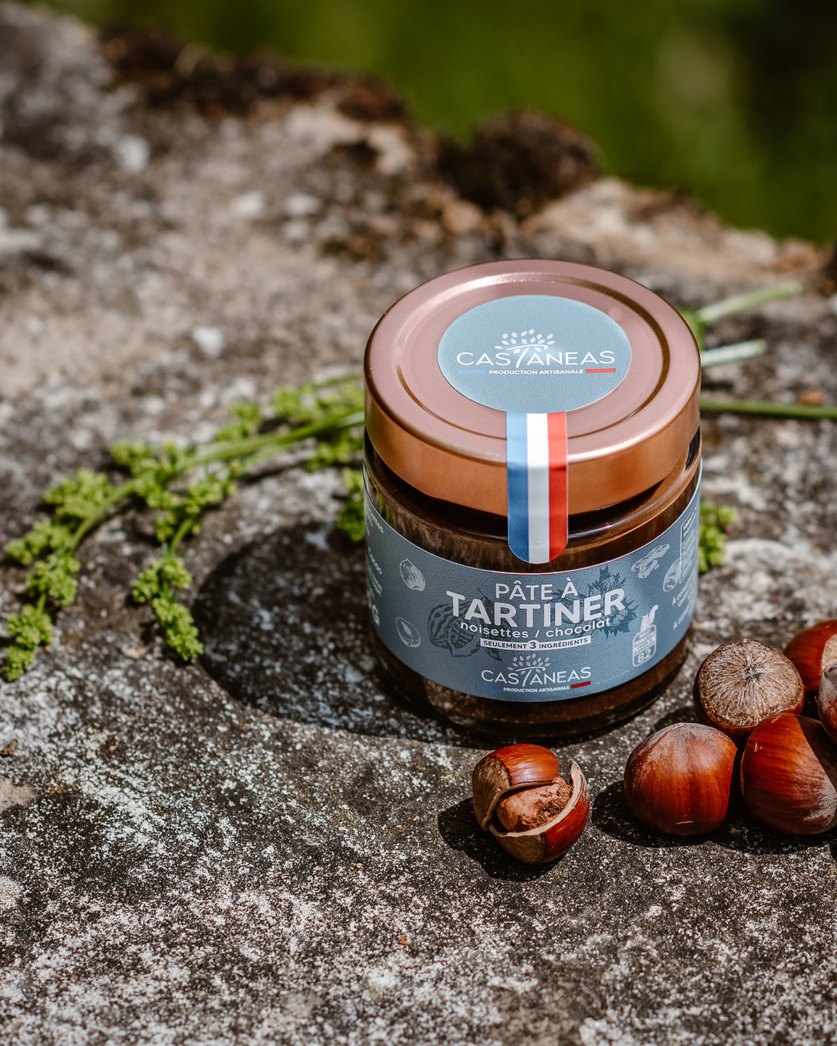Pâte à tartiner Noisettes