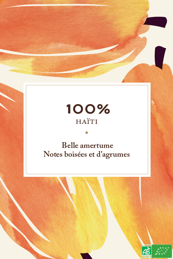 Tableta Haití 100% - Pieza - Encuentro