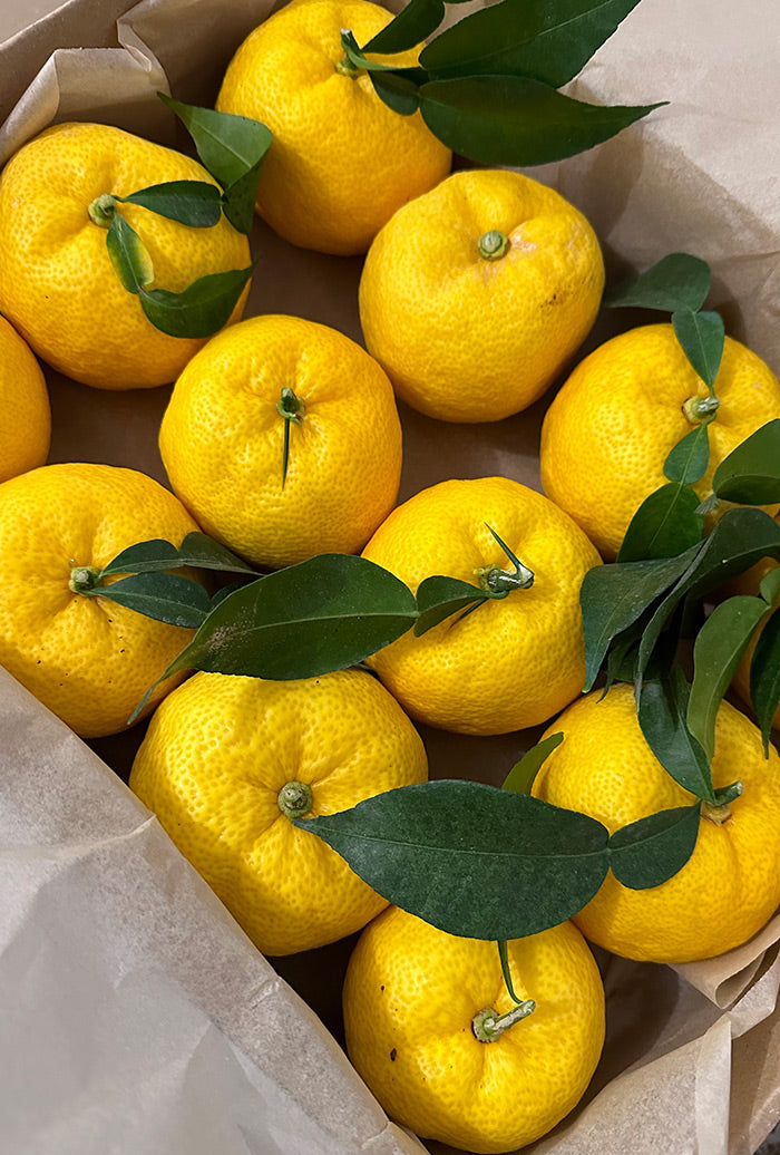 Liqueur Yuzu