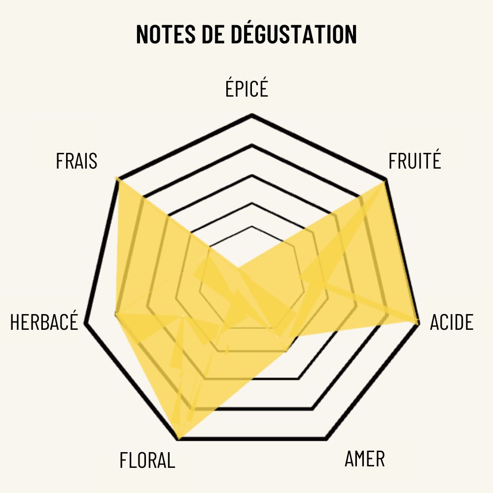 L'Éclat Brut