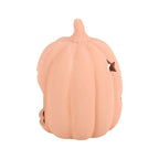 Terracotta Star Pumpkin Tealight Holder