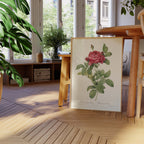 Affiche Fleurs Rosier du Pont