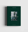 Green Christmas Decoration