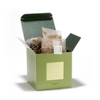 Herbal Tea of ​​Wonders No. 480