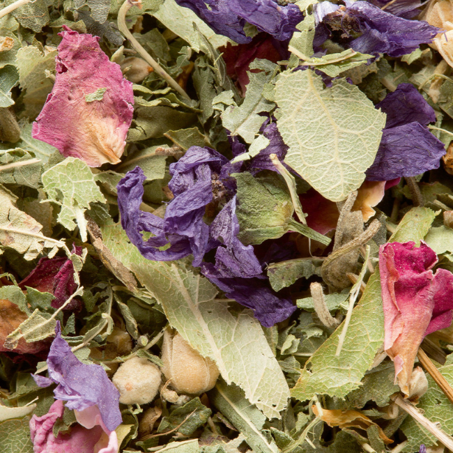 Herbal Tea of ​​Wonders No. 480