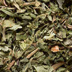 Verbena Infusion