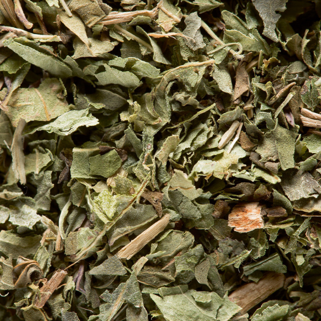 Verbena Infusion
